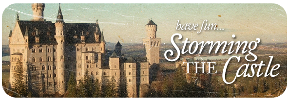 The words 'have fun storming the castle' in an italic font over a texturised background of a castle